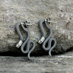 Coiled Snake Stainless Steel Earrings