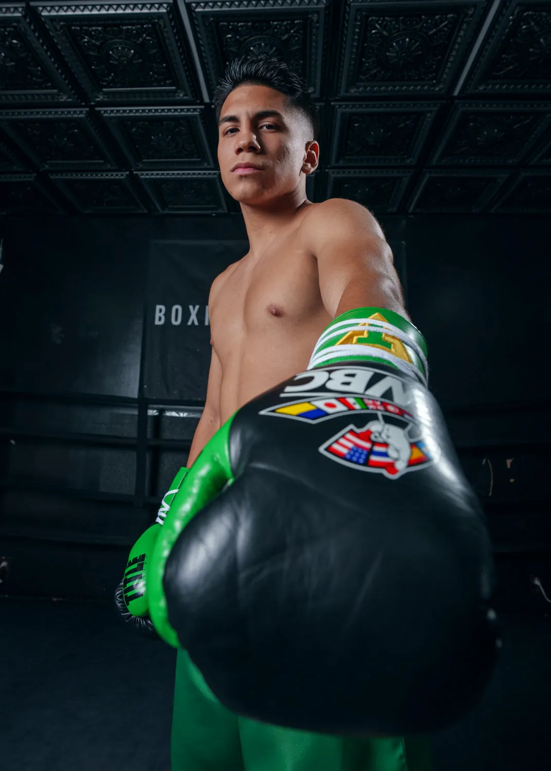 WBC by TITLE Boxing Pro Fight Leather Gloves